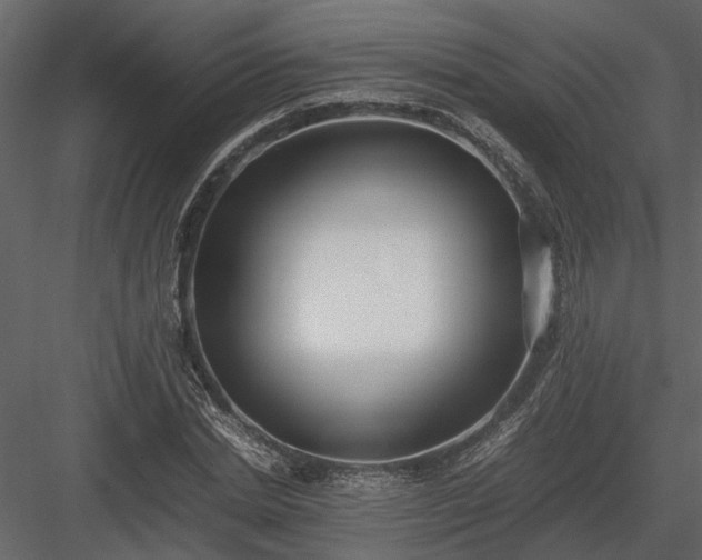 X0000084000830200702232135