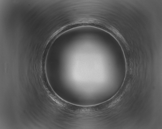 X0000084000834200702232135