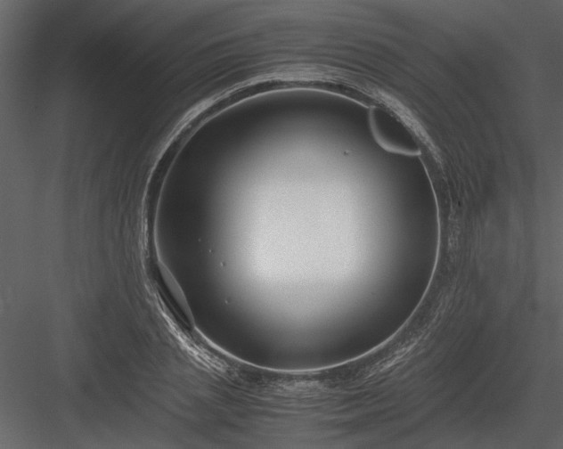 X0000084000837200702232135