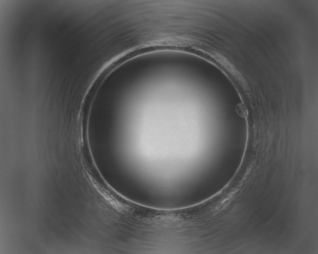 X0000084000838200702232135