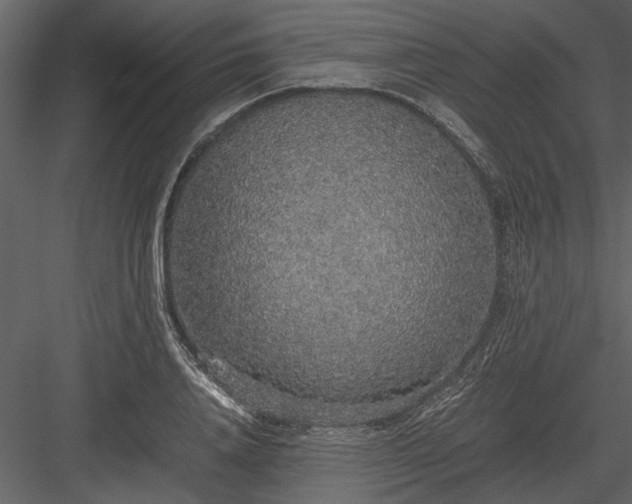 X0000084000840200702232135