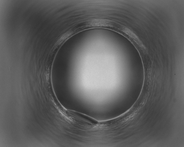 X0000084000841200702232135