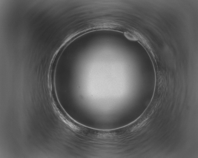 X0000084000843200702232135