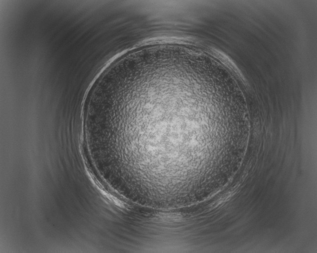 X0000084000844200702232135