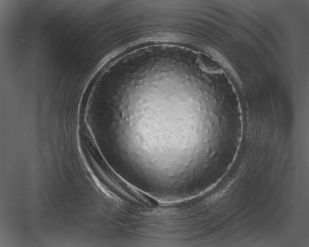 X0000084000845200702232135