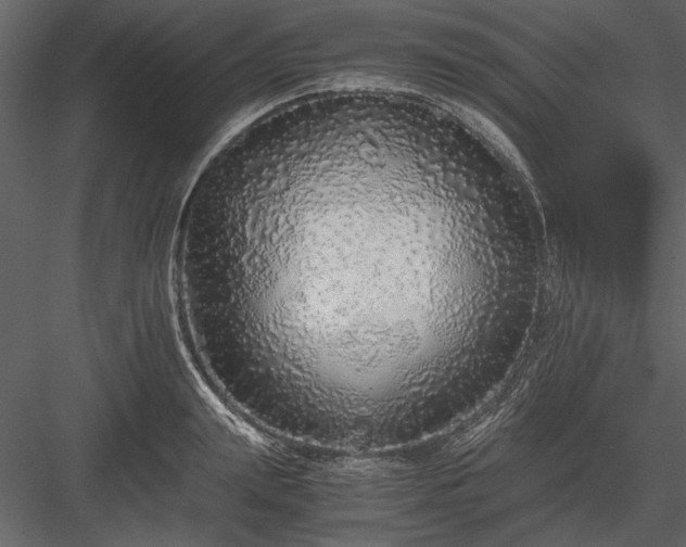 X0000084000847200702232135