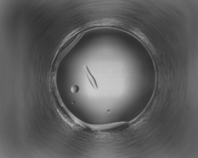 X0000084000850200702232136
