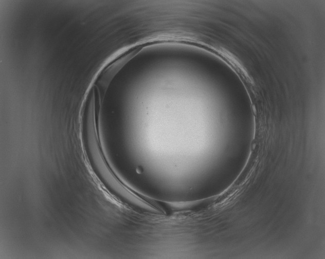 X0000084000854200702232136