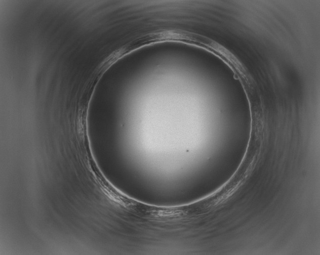 X0000084000857200702232136