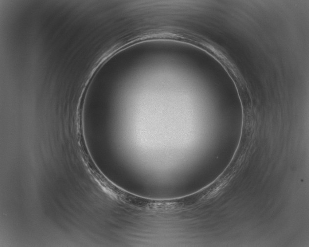 X0000084000858200702232136