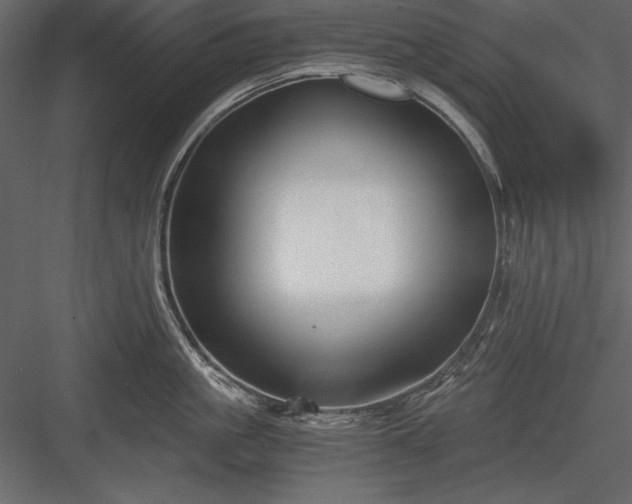 X0000084000861200702232136