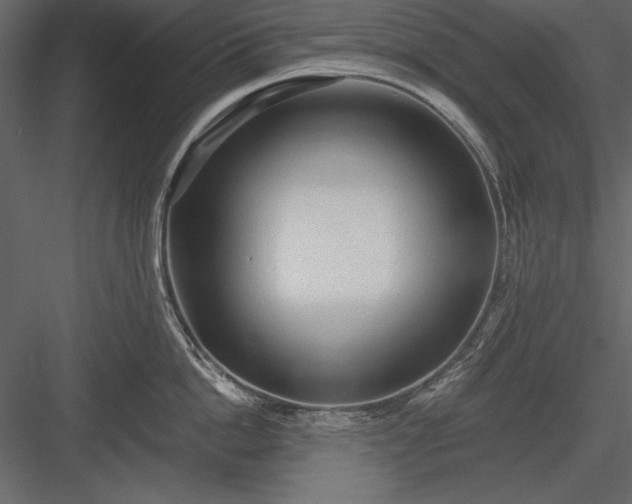 X0000084000862200702232136