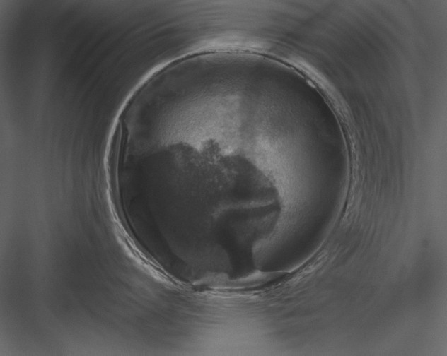X0000084000864200702232136