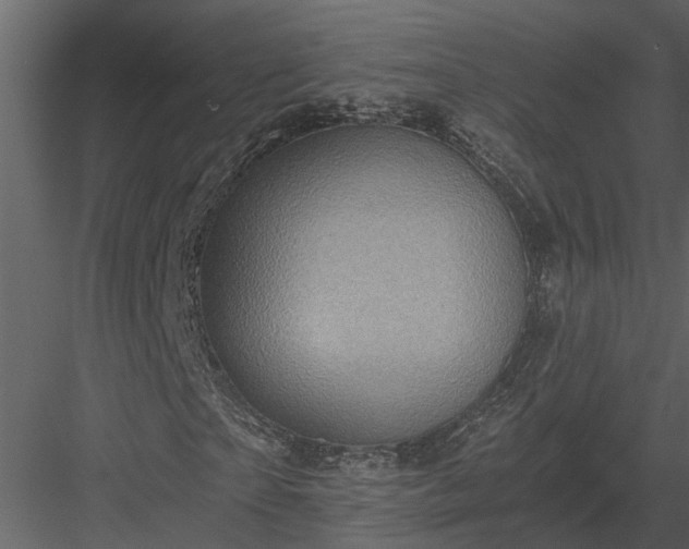 X0000084000865200702232135