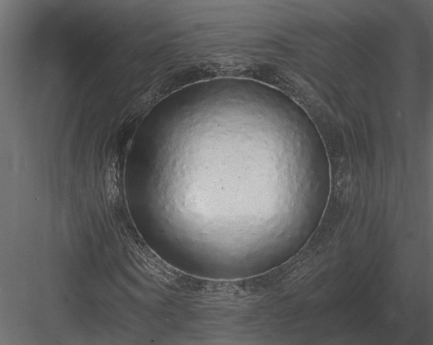 X0000084000866200702232135