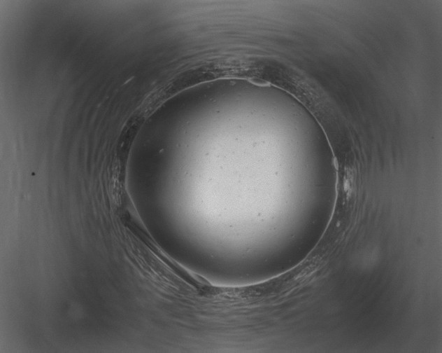 X0000084000867200702232135