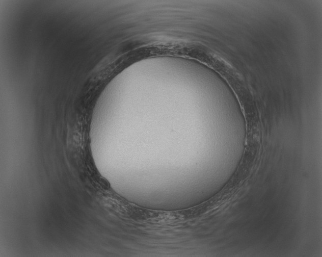 X0000084000869200702232135