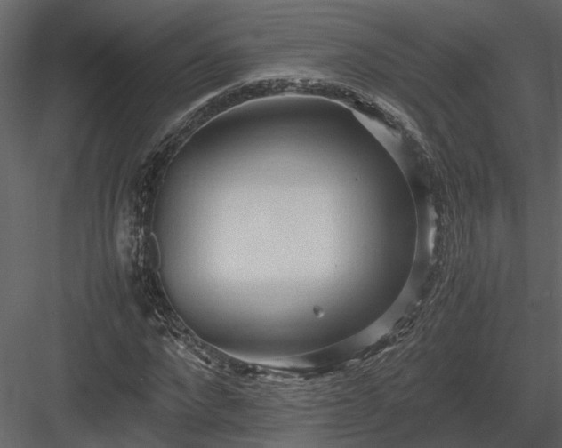 X0000084000872200702232135