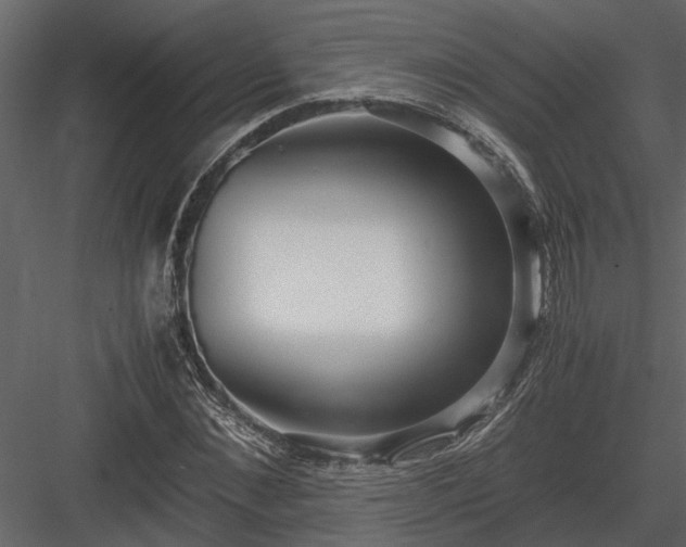 X0000084000876200702232135