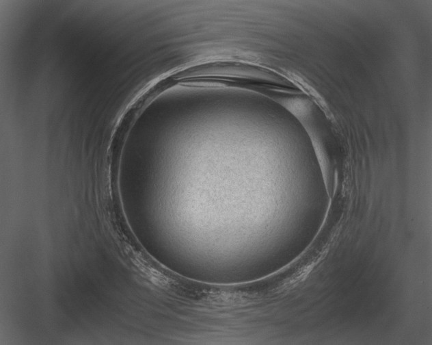 X0000084000877200702232135