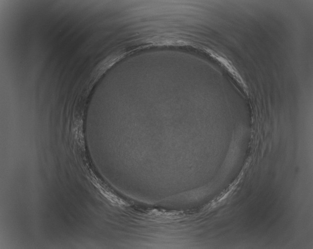 X0000084000881200702232135