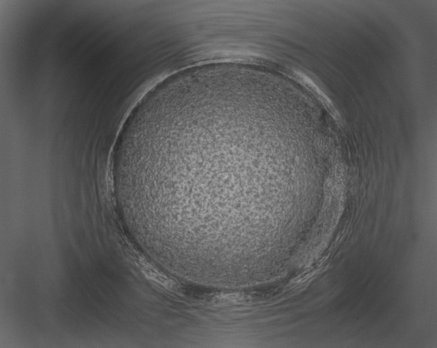 X0000084000883200702232135