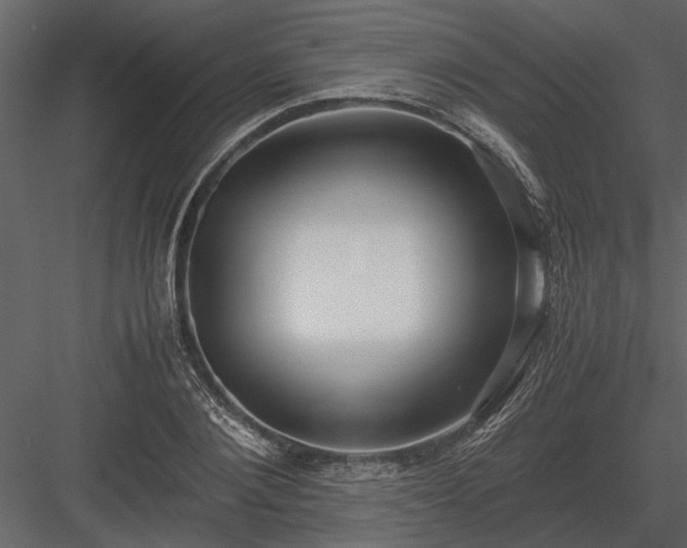 X0000084000884200702232135