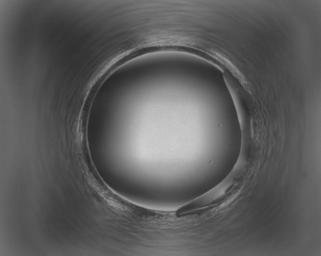 X0000084000885200702232135