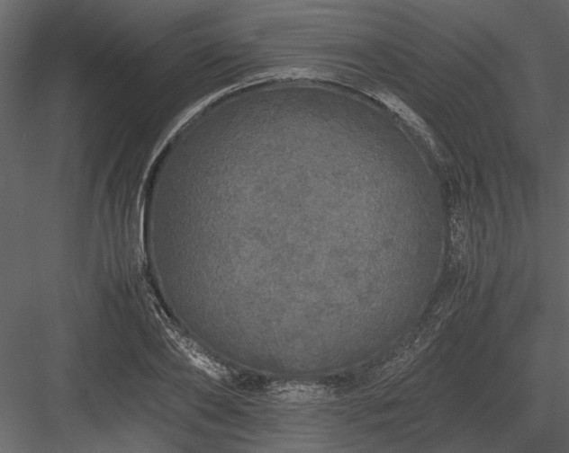 X0000084000886200702232135