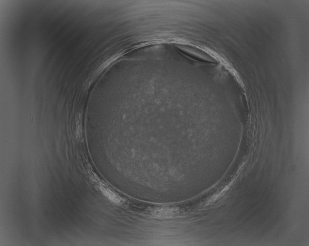X0000084000889200702232135