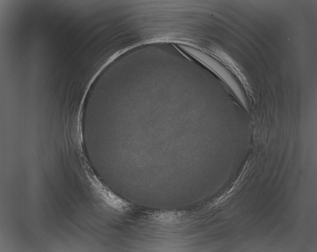 X0000084000892200702232134
