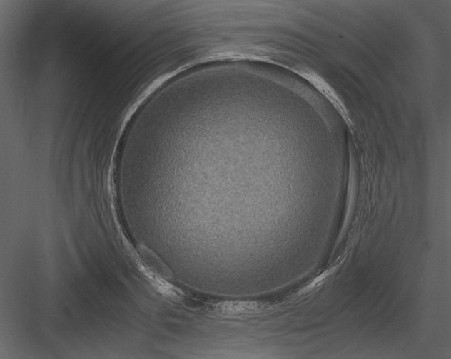 X0000084000893200702232134