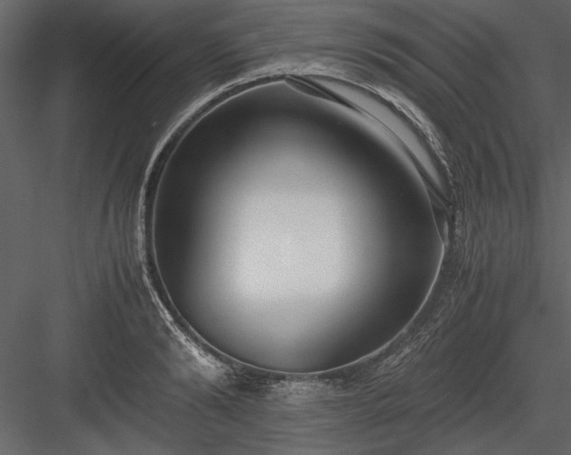 X0000084000894200702232134