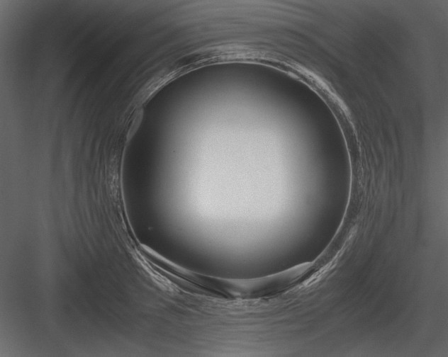 X0000084000897200702232134