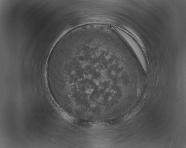 X0000084000899200702232134