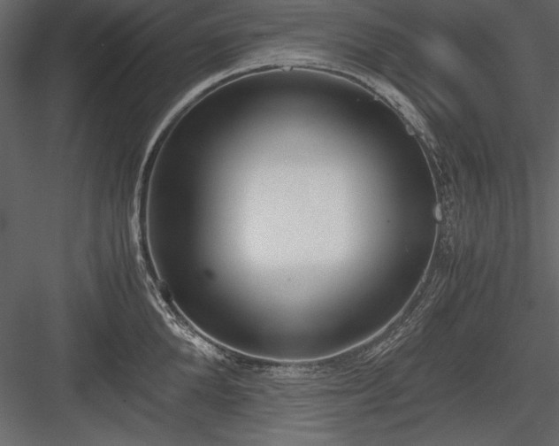 X0000084000904200702232134