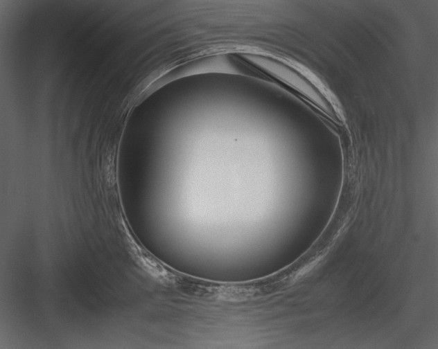 X0000084000905200702232134
