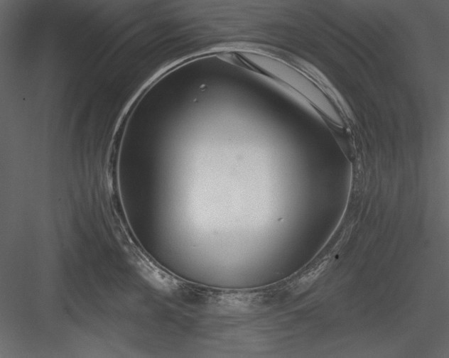 X0000084000908200702232134