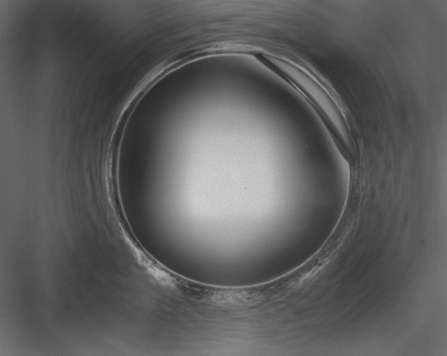 X0000084000909200702232134
