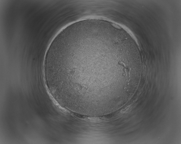 X0000084000911200702232134