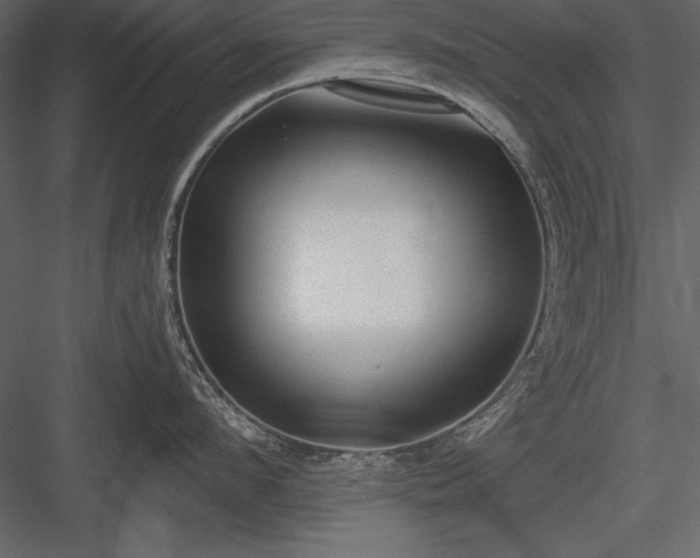 X0000084000912200702232134