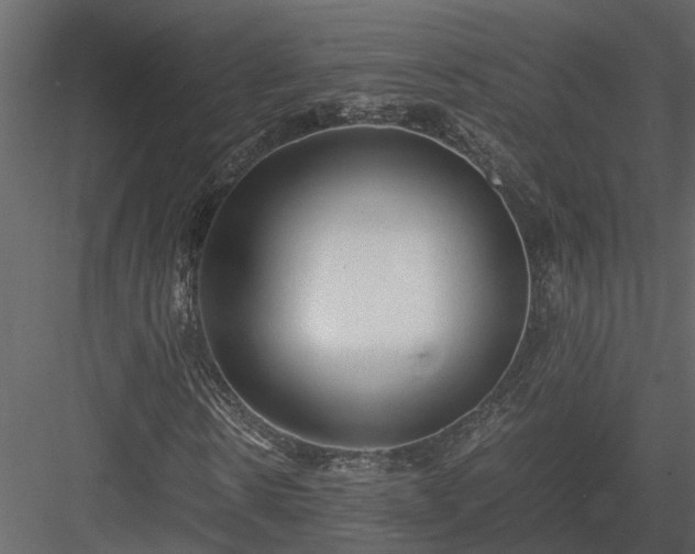 X0000084000914200702232133