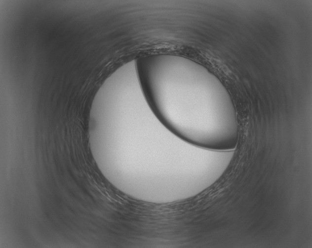 X0000084000916200702232133