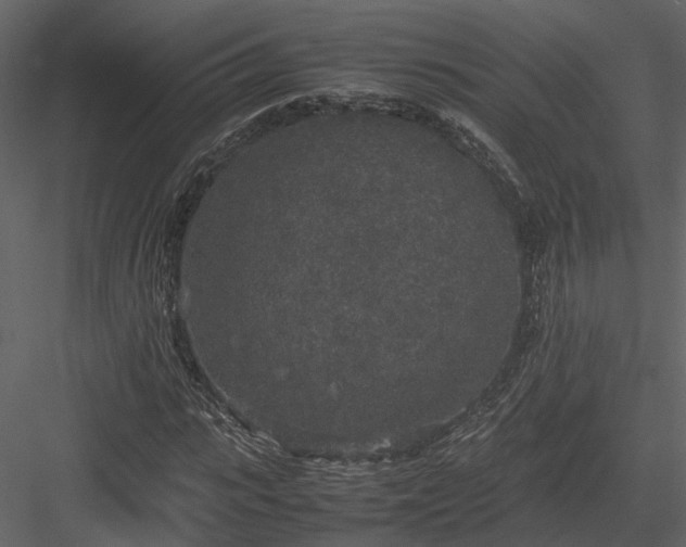 X0000084000919200702232133