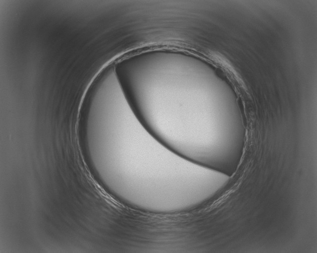 X0000084000924200702232134