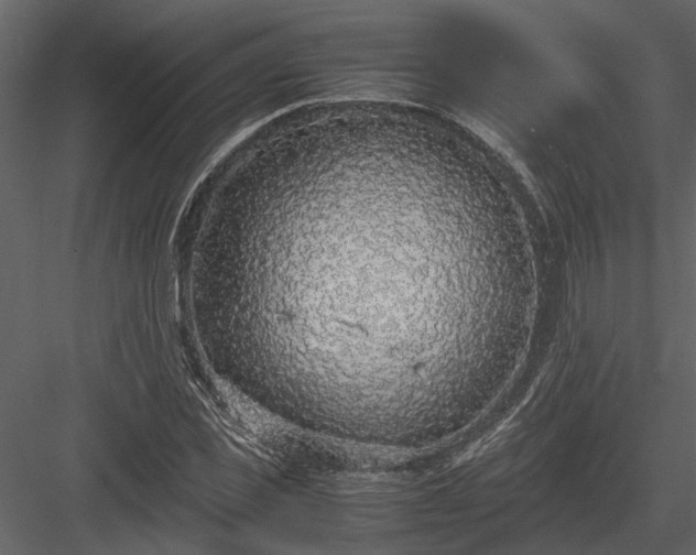 X0000084000925200702232134