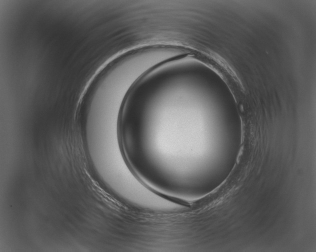 X0000084000926200702232134