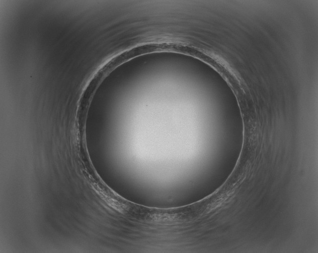 X0000084000927200702232134