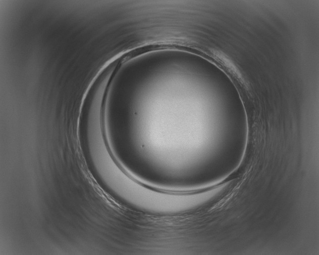 X0000084000932200702232134