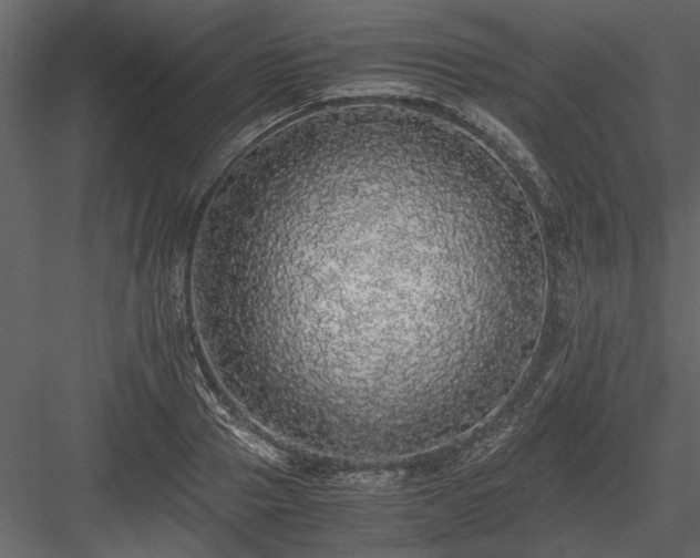 X0000084000937200702232134